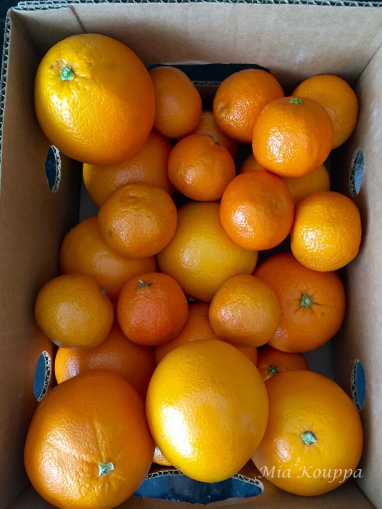 Oranges (Πορτοκάλια)