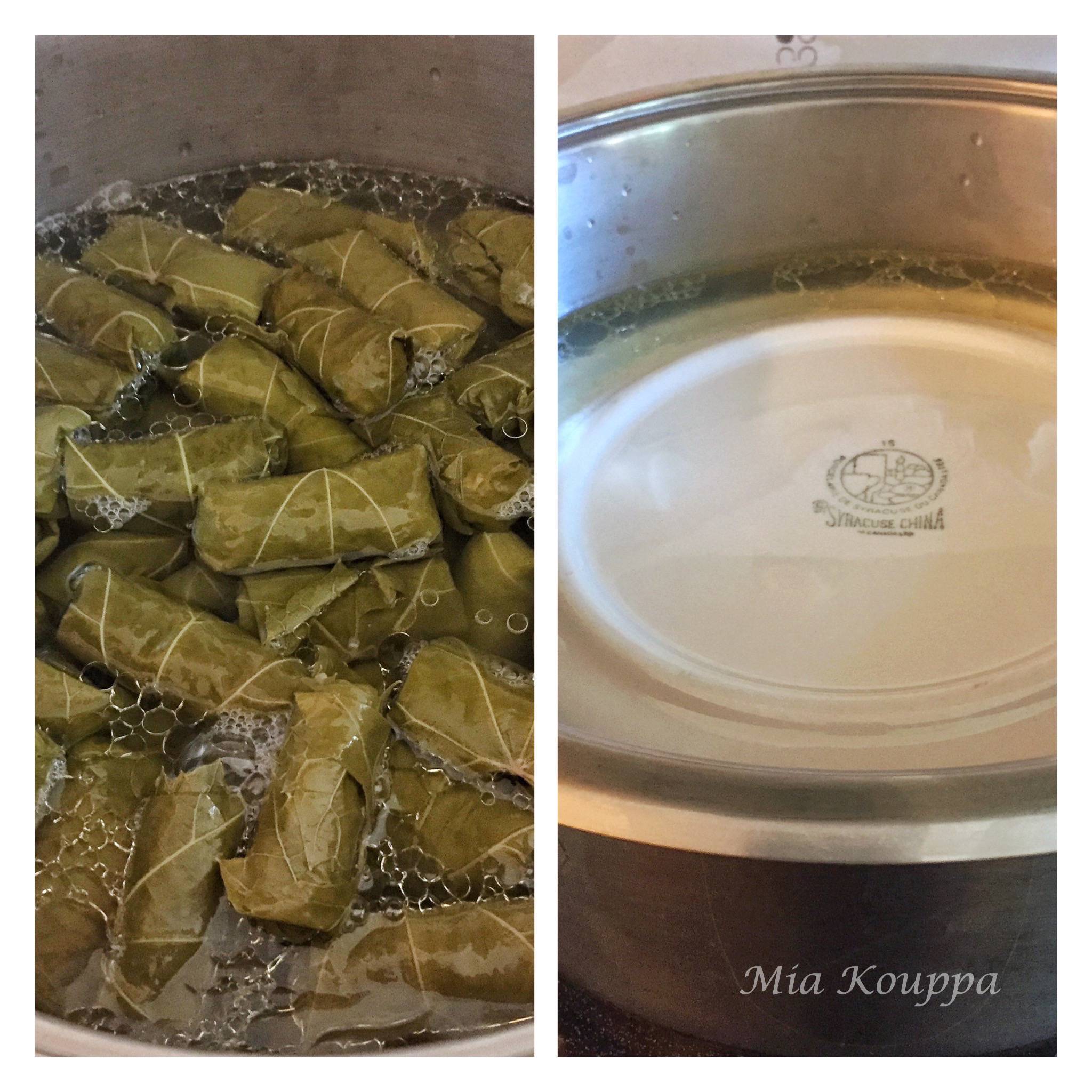 Dolmades, read to cook