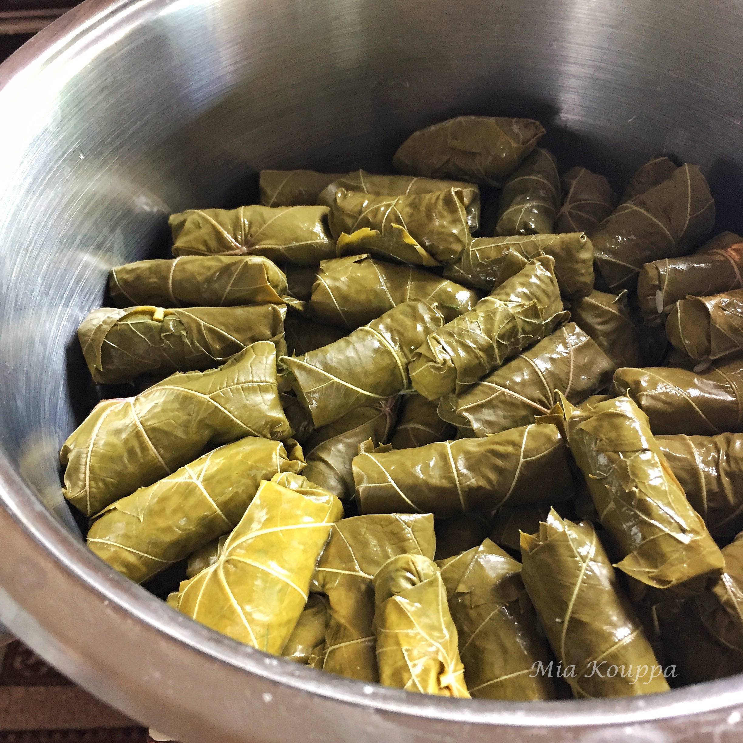 Greek dolmades. A mixture of rice and herbs wrapped in vine or grape leaves. A traditional and delicious Greek recipe.