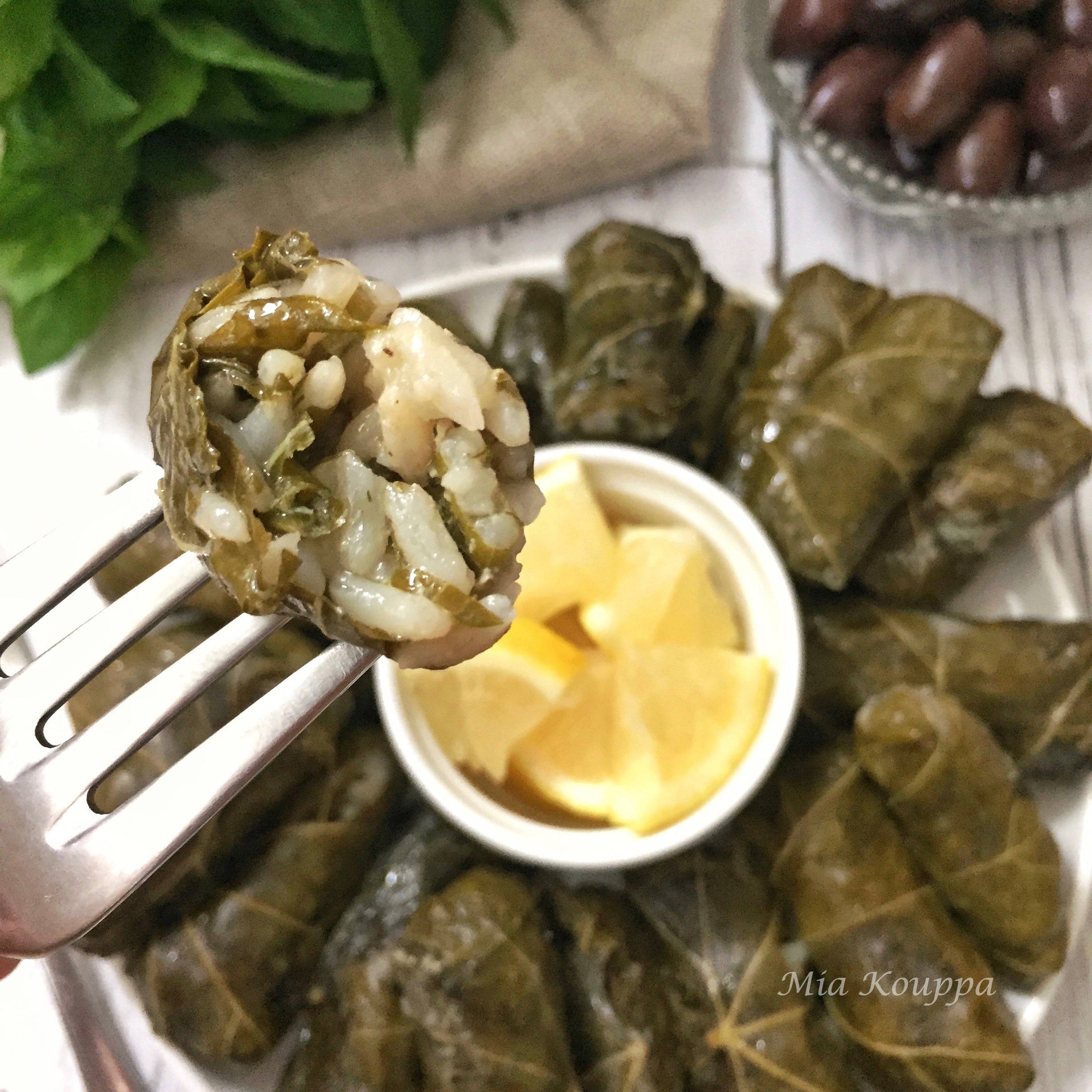 Greek dolmades. A mixture of rice and herbs wrapped in vine or grape leaves. A traditional and delicious Greek recipe.