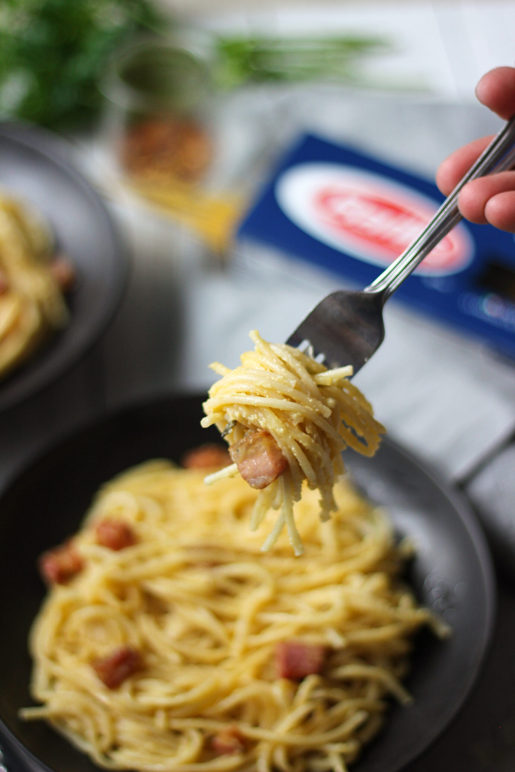 Pasta carbonara