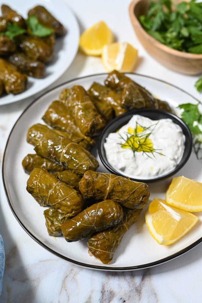 Vine leaves stuffed with rice and herbs. A Greek specialty!
