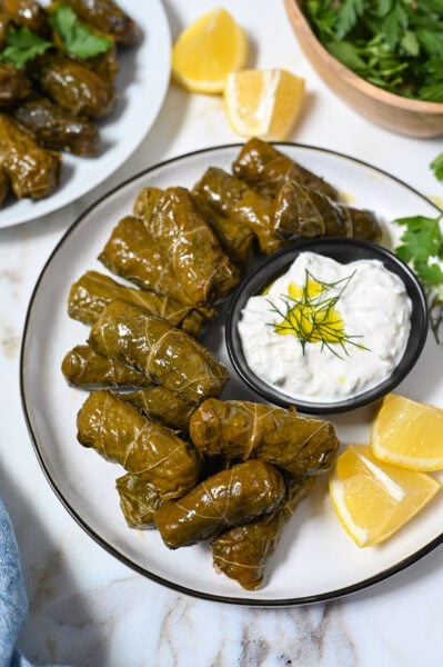 Vine leaves stuffed with rice and herbs. A Greek specialty!