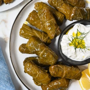 Vine leaves stuffed with rice and herbs. A Greek specialty!