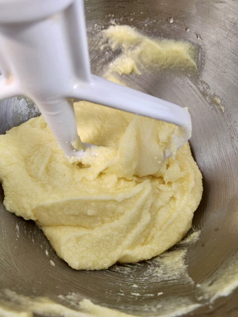dough in mixer.