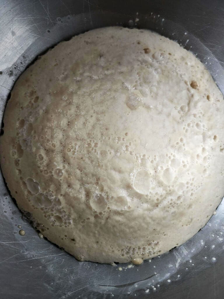 Yeast mixture, ready.