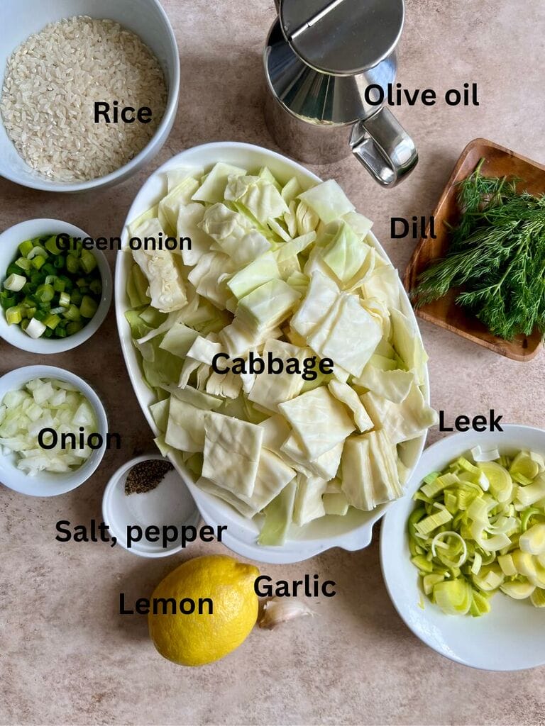 Ingredients for Lahanorizo, which include Cabbage, Green onion, onion, leek, lemon, garlic, salt, pepper, olive oil, dill and rice.