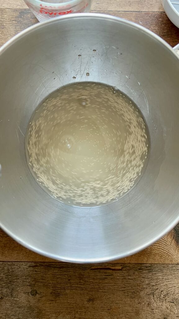 Combing the sugar, water and yeast.