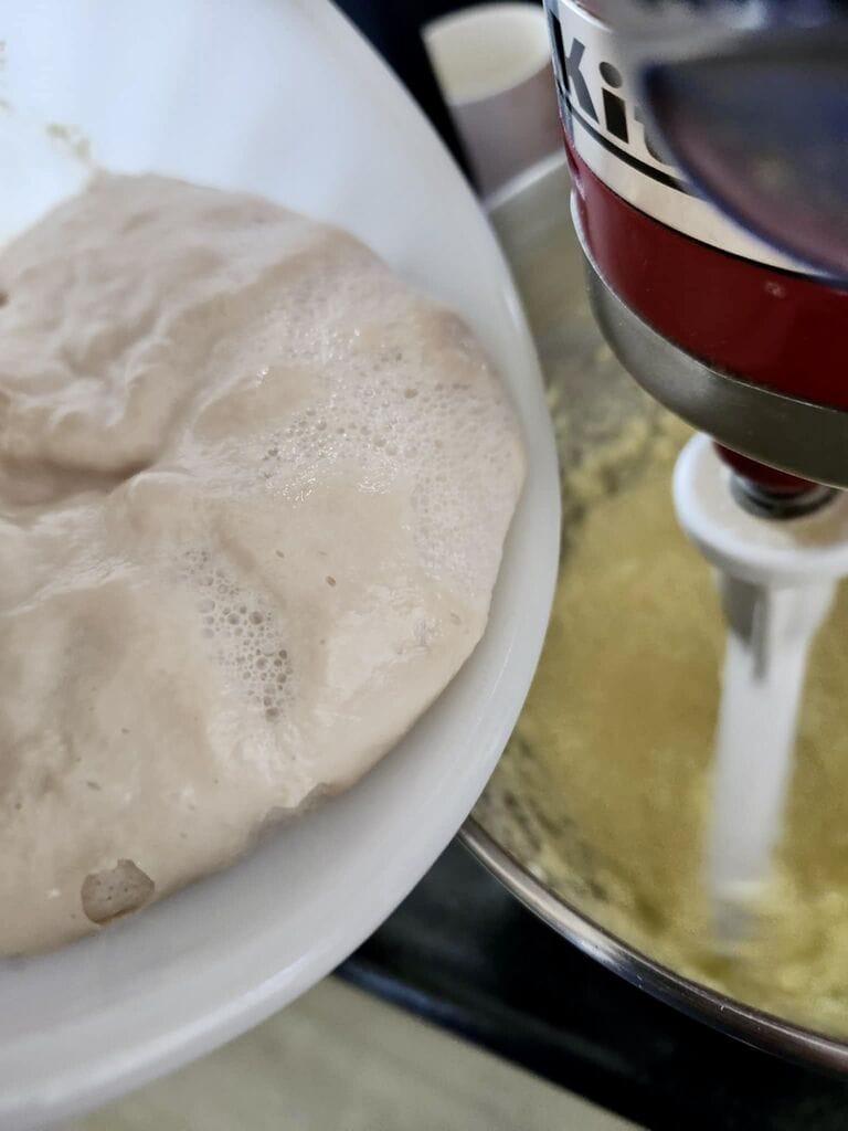 Tsoureki, Greek sweet Easter bread, rolls or muffins