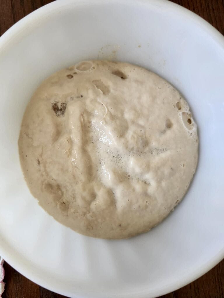 Tsoureki, Greek sweet Easter bread, rolls or muffins