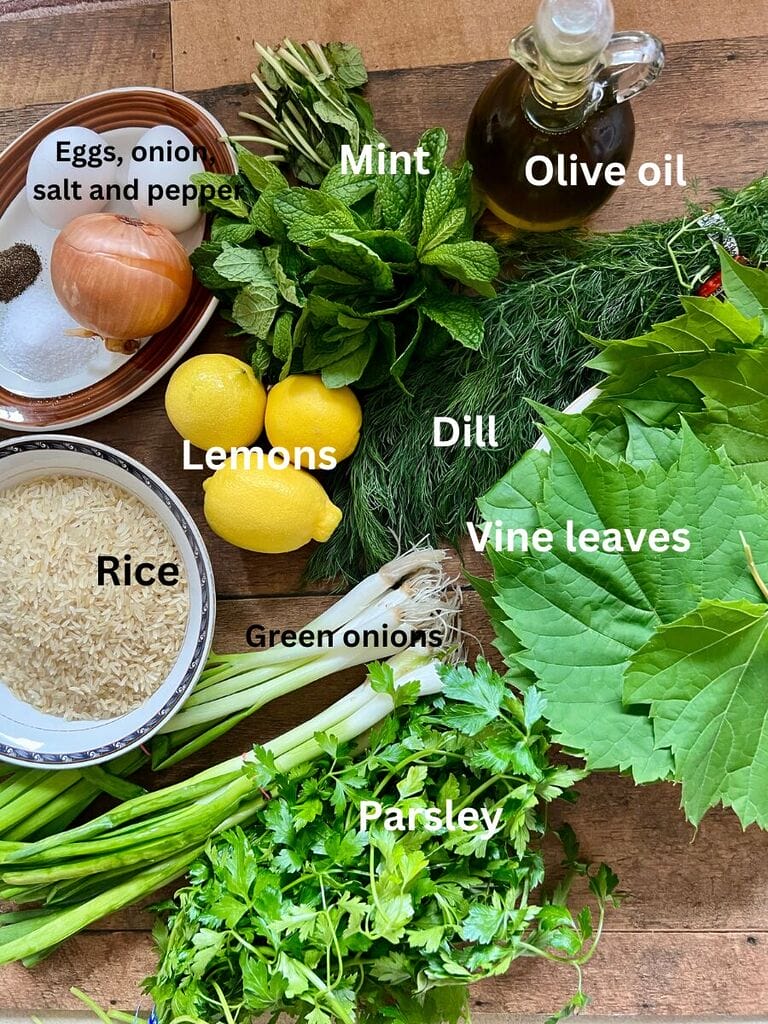 Ingredients for Dolmades which include, rice, eggs, salt, pepper, mint, olive oil, parsley, green onions, dill, vine leaves