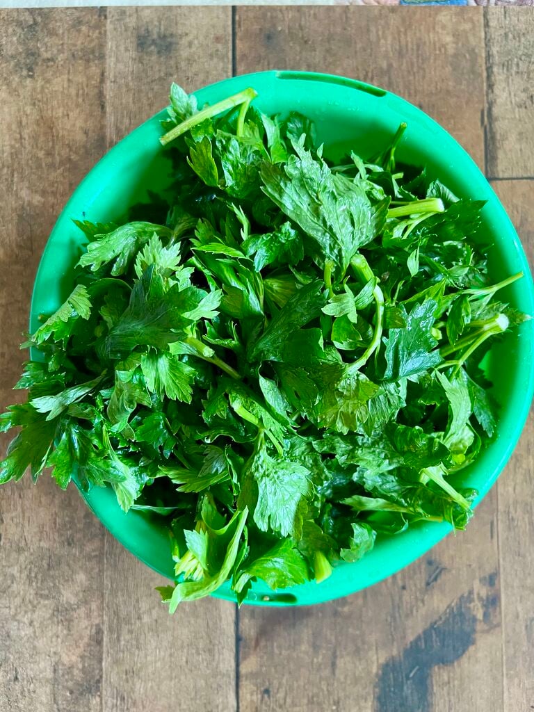 The celery leaves.
