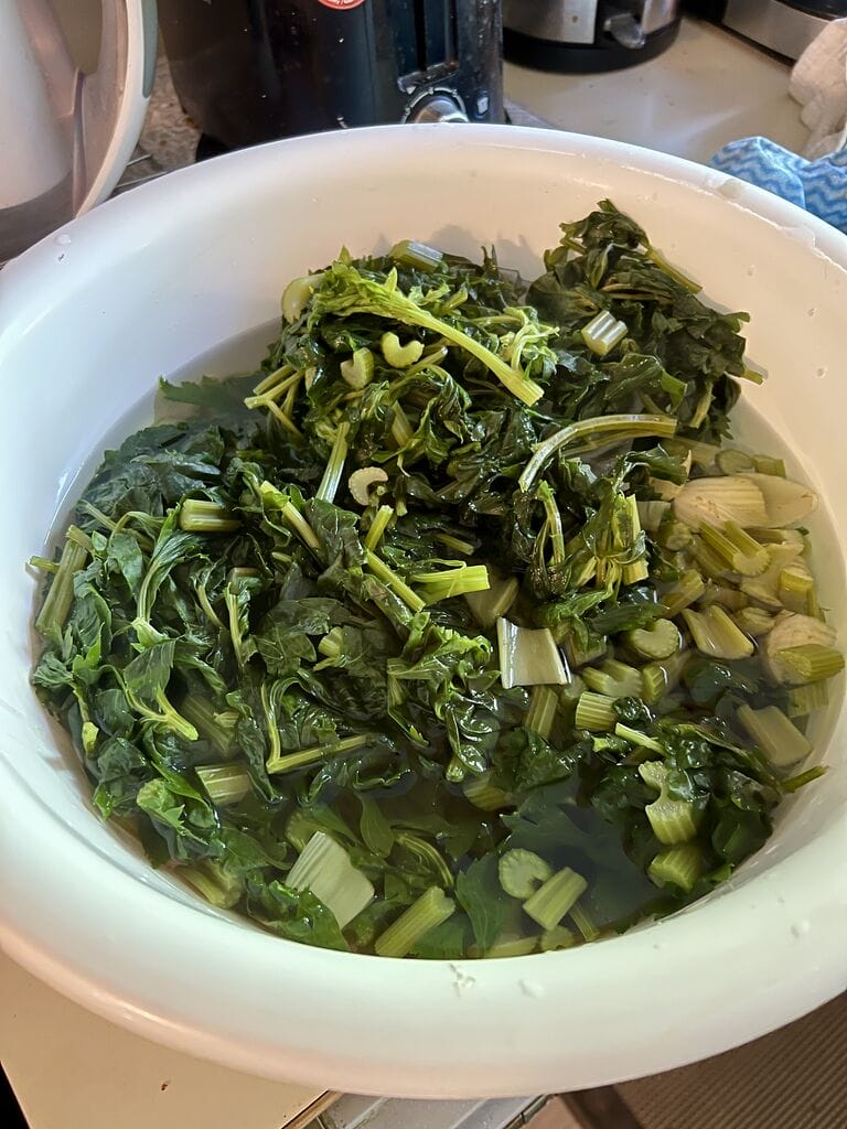 Cooling down the blanched celery and leaves in ice cold water