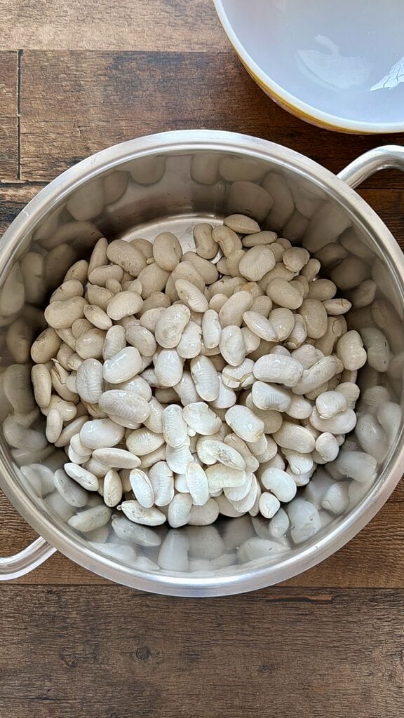 Adding the gigantes in a large saucepan to boil.